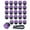 Purple, variant on Nilvkv 20 Pack Rhinestone Wheel Lug Nut Covers 19mm Diamond Hub Decorative Caps Universal Fit for Car SUV Tire Screw Protection, Car Accessories
