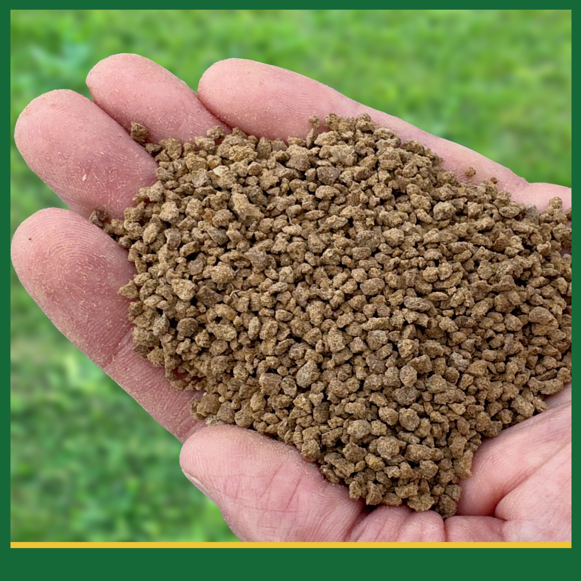 Espoma Berry Tone Natural & Organic Plant Food 4 lbs for Blueberries & Raspberries