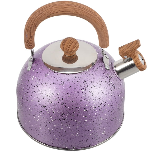 BESTYASH Stainless Steel Whistling Tea Kettle Metal Teapot for Family Use, 1-Piece Kitchen Hot Water Pot