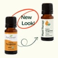 thumbnail image 6 of Plant Therapy Tangerine Organic Essential Oil 10 mL (1/3 oz) 100% Pure, Undiluted, Natural Aromatherapy, 6 of 9