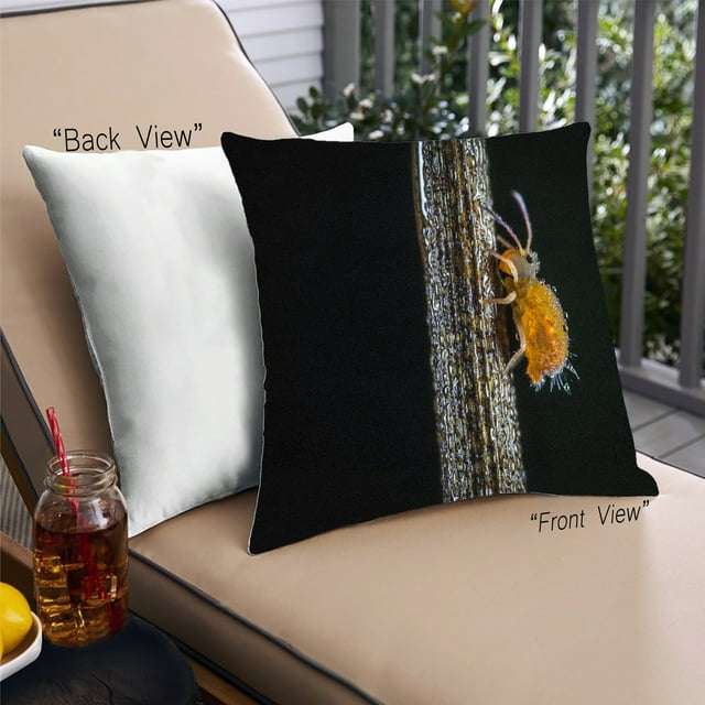 Ahgly Company Color Focus Black Coussin Décoratif d'Extérieur, 18 Po X 18 Po
