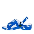 thumbnail image 2 of Toddlers' Slides - Fleur De Lis, 2 of 8