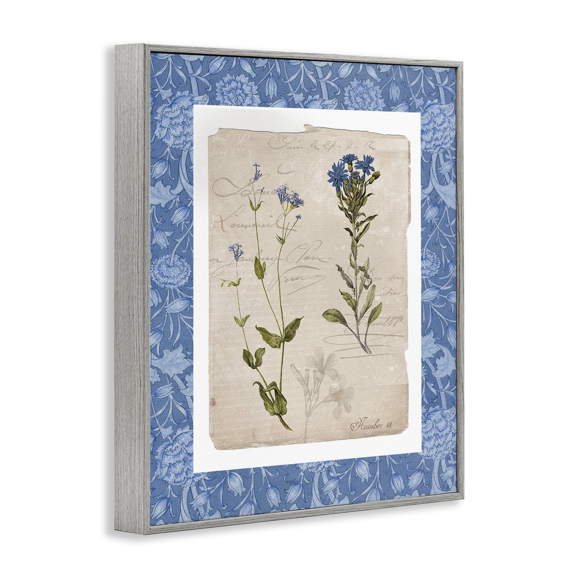 Stupell Industries Blue Vintage Botanicals Gray Framed Giclee Art, design by Livi Finn