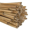 thumbnail image 1 of Vickerman H7BAR000-2 Roseau de Bambou de 60 Po&44; Naturel - 100 Pièces, 1 of 1