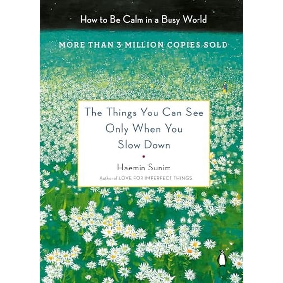 Pre-Owned The Things You Can See Only When You Slow Down: How to Be Calm in a Busy World Paperback