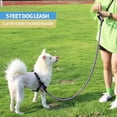 thumbnail image 5 of Strong Dog Leash with Comfortable Padded Handle and Highly Reflective Threads-Purple, 5 of 5