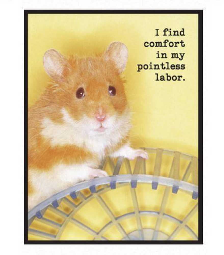 I love my Hamster Fridge Magnet 