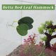 thumbnail image 4 of Camas para peces Betta de Unique Bargains, cama de hoja Betta, almohadilla de hamaca Betta con ventosa, suministros para peces Betta, decoración de acuario verde, 4 of 7