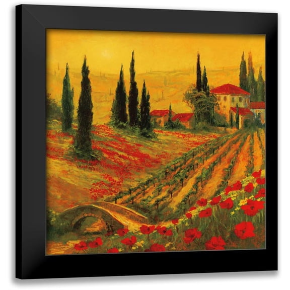 Fronckowiak, Art 12x12 Black Modern Framed Museum Art Print Titled - Poppies of Toscano I