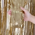 thumbnail image 3 of Matte Tassel Foil Curtain, 2m x 2, Festive Party Décor, 3 of 5