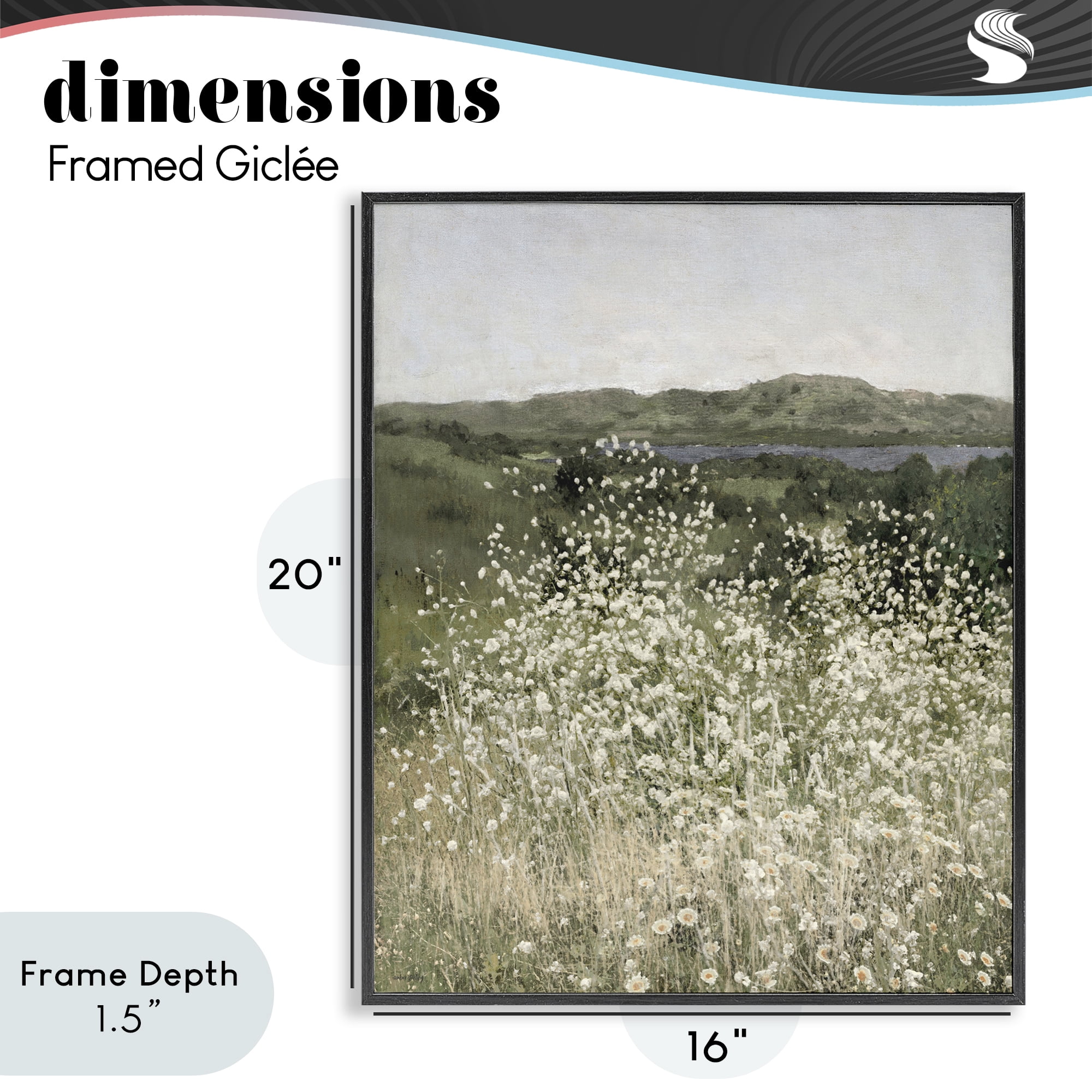Stupell Industries Sunlit Meadow of White Daisies Black Framed Giclee Art, design by Amber Sterling