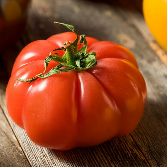 Tomato Seeds - Super Marmande VF - 250 Mg Packet ~65 Seeds - Solanum lycopersicum - Farm & Garden Vegetable Seeds - Non-GMO, Heirloom, Open Pollinated, Annual