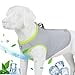 thumbnail image 3 of JUXZH Gilet Rafraîchissant pour Chien avec Fermeture Éclair Réglable pour Chasse en Plein Air et Camping Vert TP (Lot de 1), 3 of 4
