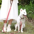 thumbnail image 4 of Pet Artist Classic Quick Released Leather Dog Collar and Dog Leash Set 4.5FT for Small Medium Large Dogs, 4 of 7