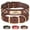 Brown, variant on Didog Leather Personalised Dog Collar Engraved Nameplate for Small Medium Large Dogs