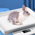 thumbnail image 3 of Escala digital,Mini pantalla LCD portátil con báscula digital para mascotas,Medir Peso Balanzas Alta Precisión Electrónica,Pesaje de Herramientas Balanza con Bandeja Desmontable mayimx Escala digital, 3 of 9