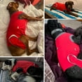 thumbnail image 3 of Duuclume Dog Recovery Suit Surgical Clothing for Dog Cat Onesie after Surgery Red XL, 3 of 6