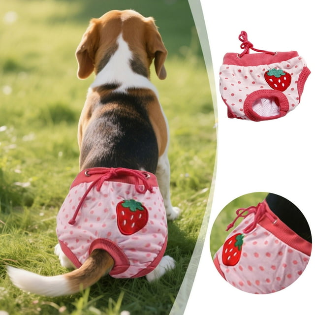 Female Dog Hygiene Pants Reusable Washable Pet Underwear for Puppy Comfortable Breathable Design