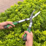 Expert Gardener 20 inch Hedge Shear, Green and Black Color