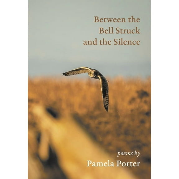 Between the Bell Struck and the Silence (Paperback)