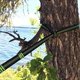 thumbnail image 4 of Outdoor Wood Hammock Portable Parachute Fabric Camping Hammock Beach Garden Backyard Hiking Hammock-Green, 4 of 5