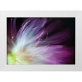 thumbnail image 1 of Lionse, Art 18x14 White Modern Wood Framed Museum Art Print Titled - The Will-o-the-Wisp, 1 of 4