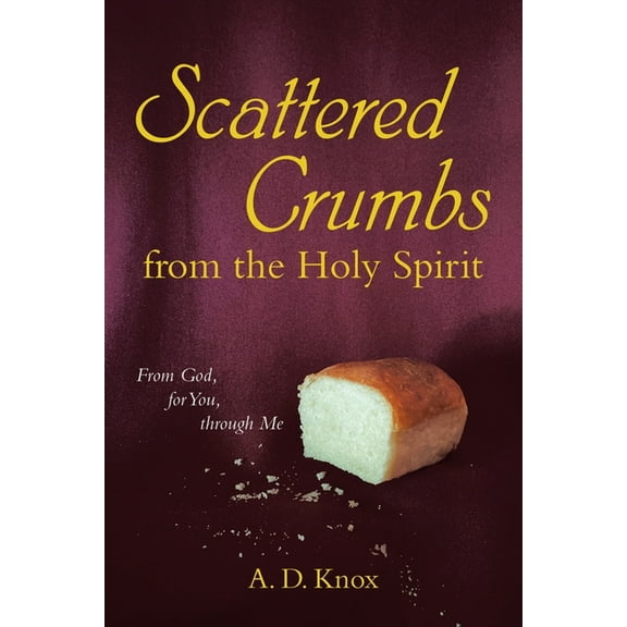 Scattered Crumbs from the Holy Spirit: From God, for You, through Me (Paperback)