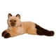 thumbnail image 1 of Peluche de peluche Douglas Sebastian, gato himalayo, 30 cm, 1 of 1