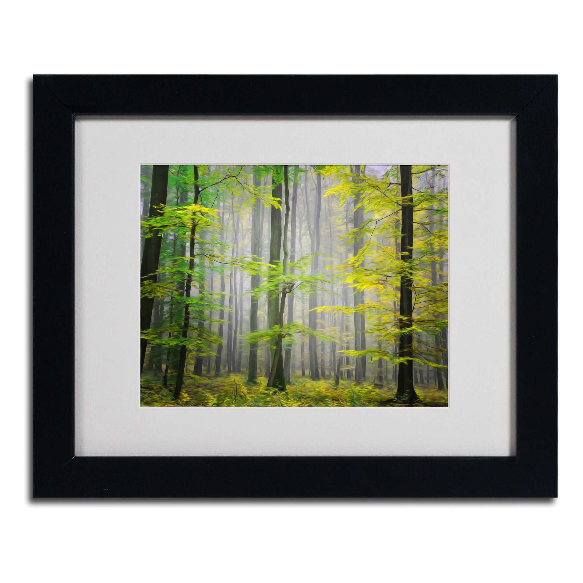 Trademark Fine Art "Sugar Low" Canvas Art by Philippe Sainte-Laudy, Wood Frame
