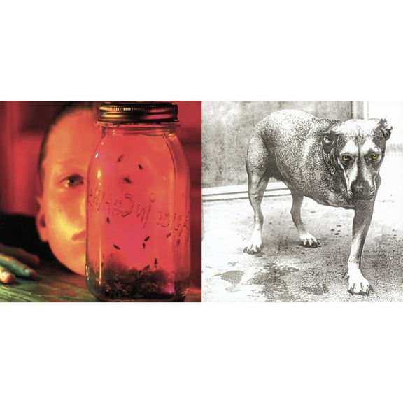 Jar Of Flies & Alice In Chains [CD Bundle]
