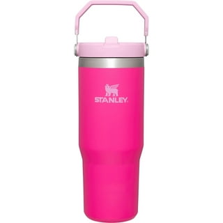 Stanley Quencher 30-fl oz Stainless Steel Insulated Water Bottle in the  Water Bottles & Mugs department at