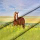 thumbnail image 4 of Caballo Funda Nórdica Queen Size Blossom Flores juego de cama Animales Edredón, 4 of 7