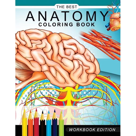 Anatomy coloring book : Muscles and Physiology Workbook Edition