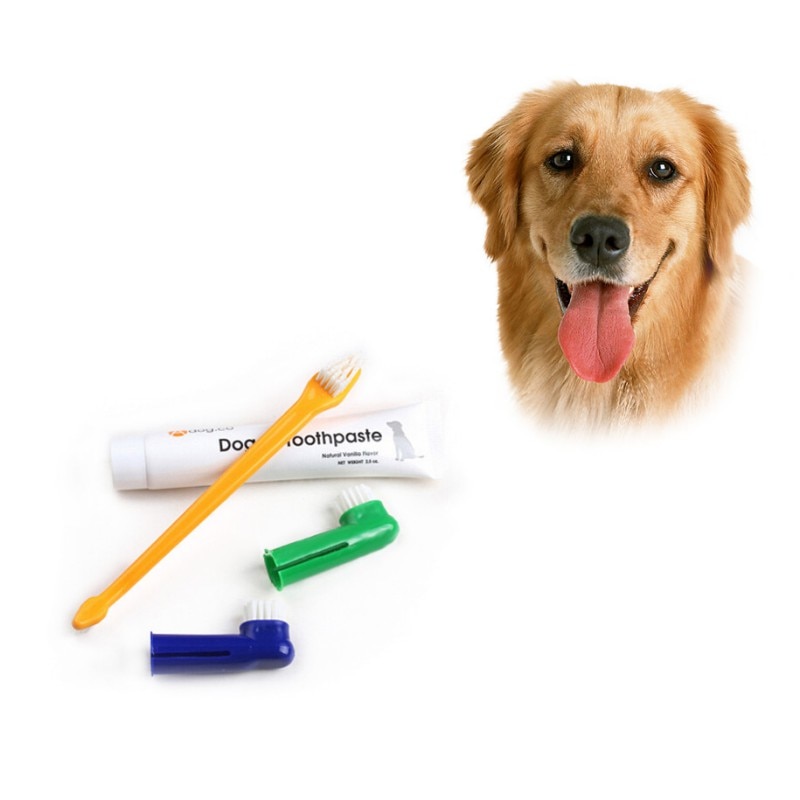 zhongxinda Pet Dog Oral Care Supplies Toothpaste Toothbrush Set for Pet