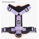 thumbnail image 5 of New Pet Dog Harness No-pull Dog Padded Vest Adjustable Reflective Chest Strap Safety Lead All Weathers For Small Medium Dogs ShopWise Round, 5 of 10