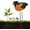 Black, variant on Soil Moisture Meter, Water Meter for Plants Bird Shape Water Sensor, Intelligent Plant Waters Tester with Automatic Alarm Chirping, Hygrometer Gardening Tool Kit for Indoor Outdoor Plant Garden Decor