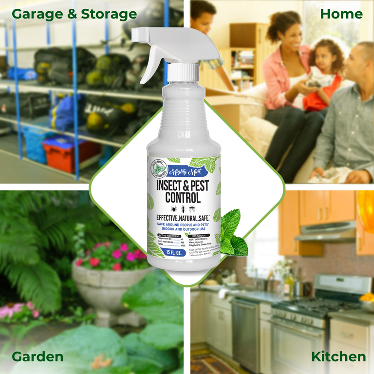Mighty Mint Insect & Pest Control, 15 oz