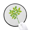 thumbnail image 1 of Tapis de Souris Vert Branches de Grenouille Faible Rond Bord Cousu Antidérapant Jeu, 1 of 2
