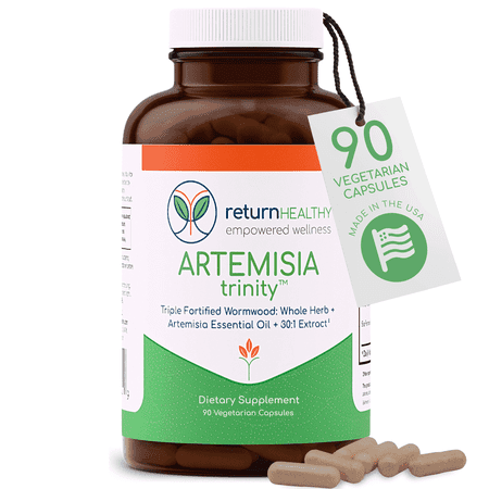 Return Healthy Artemisia Trinity Cleansing Supplement for Women & Men, Digestive Support with Wormwood Herb & Artemisinin 30:1 Extract, 90 Capsules
