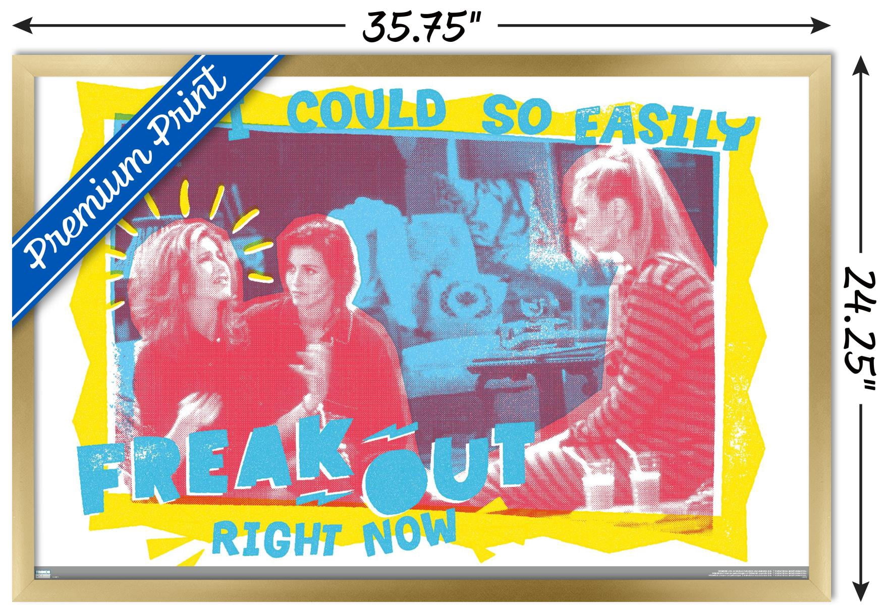 Friends - Freak Out Wall Poster, 22.375" x 34" Framed