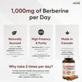 thumbnail image 4 of Herba Berberine Supplement with Ceylon Cinnamon – 120 Capsules | Ultra Pure >97% | Made in Canada, 4 of 8