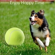 Toorise 4pcs Pet Toy,9.5 bigdogball Rubber Kelly Big Giant Tennis Ball, Thicker Durable Mega Jumbo Dog Play Supplies Fun Thrower Chucker Training,Pet Instincts Interact Fetch Balls (No Air Pump)