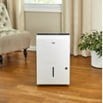 Arctic King 50 Pint Energy Star Dehumidifier for Wet Areas, White