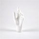 thumbnail image 1 of Nvzi 1 par de manos femeninas modelo para joyería, pulseras, guantes, soporte organizador para exhibición, manicura - Blanco, 1 of 5