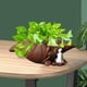 thumbnail image 5 of Florero Little Monk Sunnimix púrpura para suculentas Jardín, 5 of 8