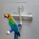 thumbnail image 1 of Bird Perches, Parrot Perch Shower Perch Parrot Shower Bird Perches Parrot Budgie Suction Cup Foldable Window Shower Bath, 1 of 5