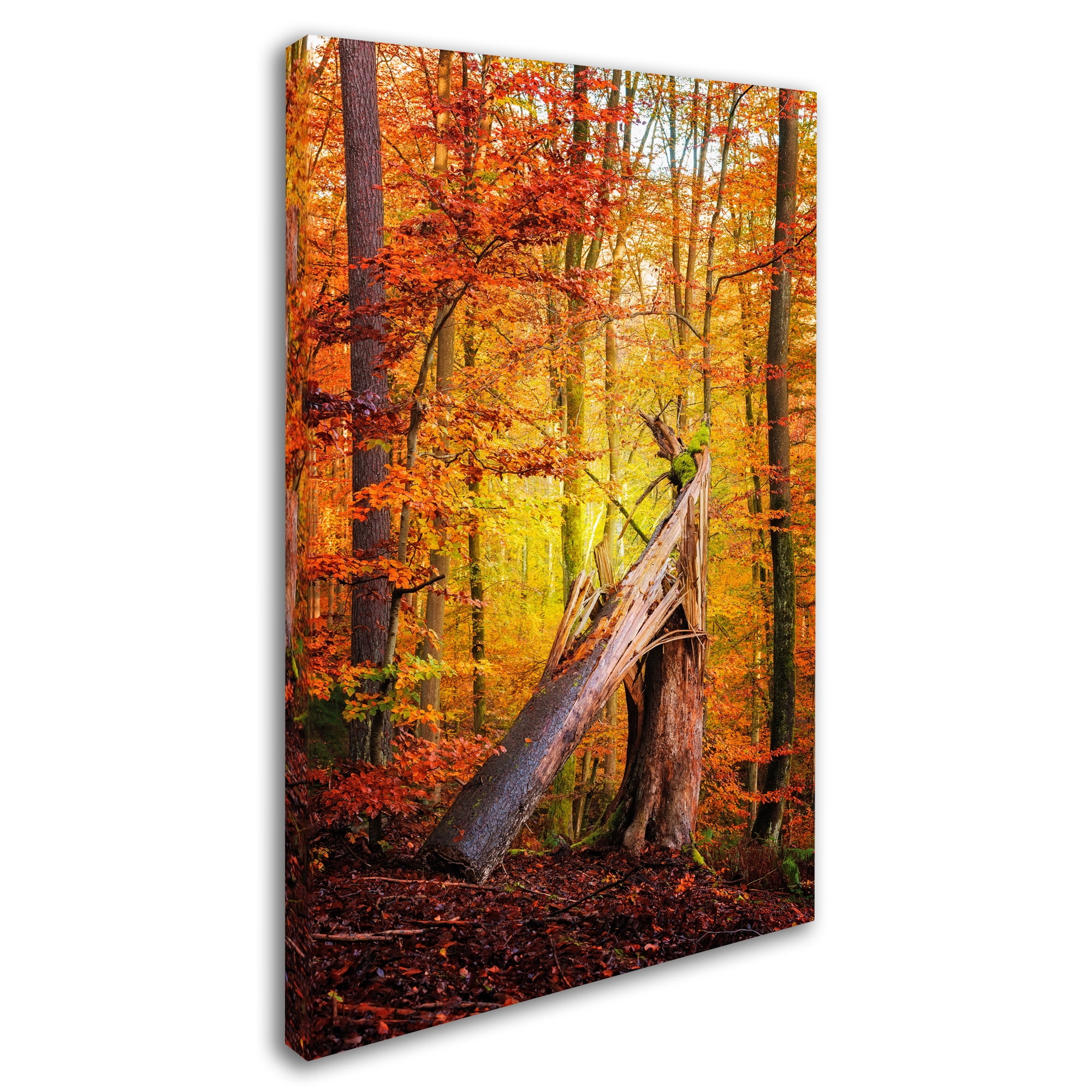 Trademark Fine Art "Broken Career" Canvas Art by Philippe Sainte-Laudy