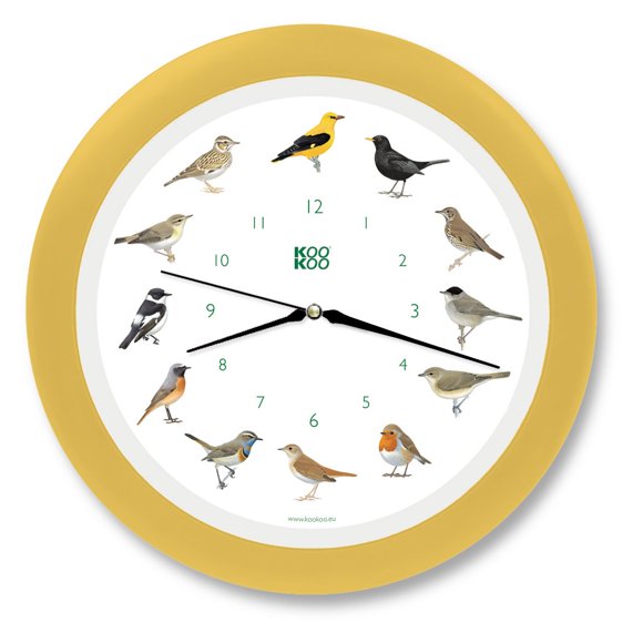 KOOKOO SINGVGEL Crème-Jaune, 12 Enregistrements Originaux Authentiques de Chanteurs Natifs