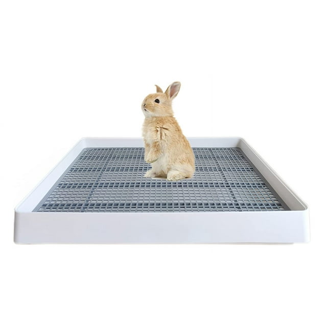 Bandeja de entrenamiento de conejillos de indias PODOO Rabbit, 56 x 46 x 7 cm