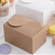 thumbnail image 3 of Ounissouiy Caja de embalaje Estuche de almacenamiento Titular de regalo Contenedor de pastel A prueba de polvo Accesorios para el hogar Cocina y Comedor Amarillo, 3 of 6